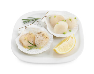 Raw scallops with green onion, rosemary, lemon and shells isolated on white