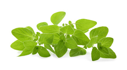 Sprig of fresh green oregano isolated on white