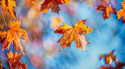 Autumn Maple Leaves Against a Bright Sky - Generative AI