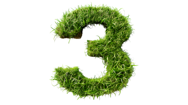 Digit 3 made with grass, PNG file, transparent background, isolated on white