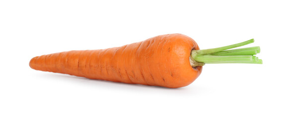 One fresh ripe carrot isolated on white