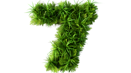 Digit 7 made with grass, PNG file, transparent background, isolated on white