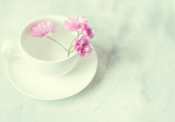 white porcelain cup and saucer with water and pink sakura flowers on a light gray background with a putty effect. pale tone. soft selective focus. vintage style. for interior
