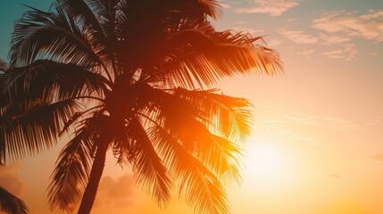 Tropical sunset with a silhouetted coconut palm tree. Vintage-toned summer travel background with space for text. Retro creative design in an open composition.