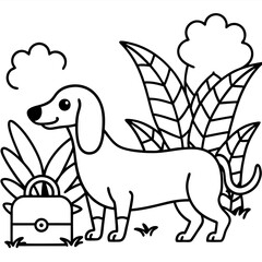 Dachshund Dog Coloring Page for Kids