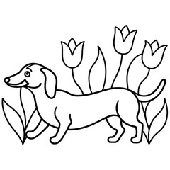 Dachshund Dog Coloring Page for Kids