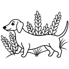 Dachshund Dog Coloring Page for Kids