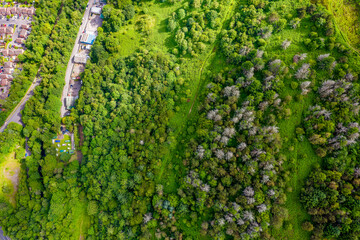 Top down view of forest, trees and houses in the South Wales Valleys (Ebbw Vale)