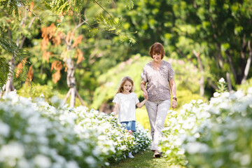 Fototapeta premium Caucasian white woman taking her granddaughter walking in the garden in morning.