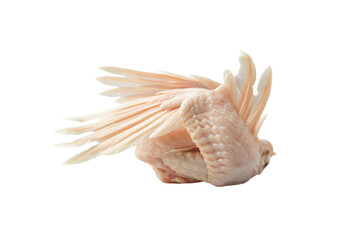 Fresh raw chicken wings isolated on a white background. Perfect for culinary, cooking, and food preparation concepts.
