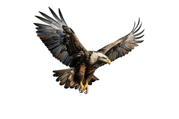 Obraz premium Eagle (PNG 8640x5760)