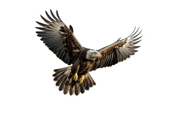 Eagle (PNG 8640x5760)