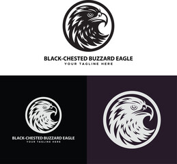 White tailed eagle logo design vector Illustration