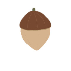 illustration of a walnut
