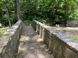 wooden bridge in the forest