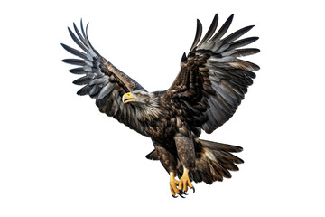 Obraz premium I Love Eagle (JPG 300Dpi 10800x7200)