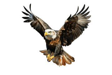 Fototapeta premium I Love Eagle (JPG 300Dpi 10800x7200)
