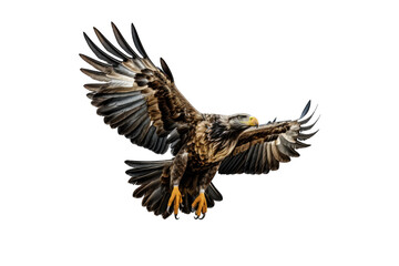 Fototapeta premium I Love Eagle (JPG 300Dpi 10800x7200)