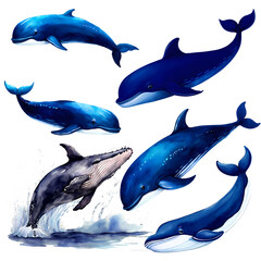 Watercolor blue whale