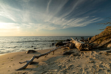 The landscape on the Baltic Sea.