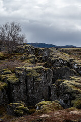 Techtonic Plates Iceland