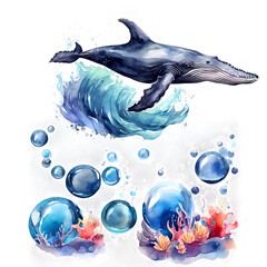 Watercolor blue whale, underwater world, seaweed, coral