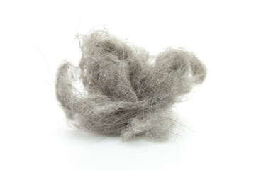 Gray lump of cat hair on a white  background