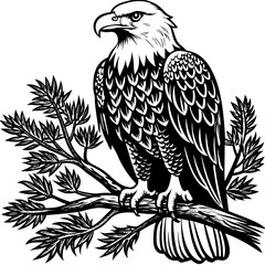 bald-eagle-sitting-on-a-tree-branch