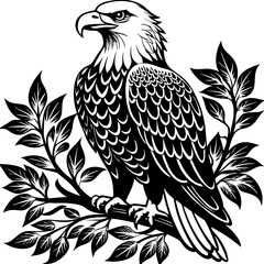bald-eagle-sitting-on-a-tree-branch