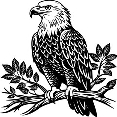 bald-eagle-sitting-on-a-tree-branch