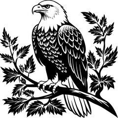 bald-eagle-sitting-on-a-tree-branch