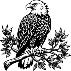 bald-eagle-sitting-on-a-tree-branch