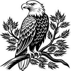 bald-eagle-sitting-on-a-tree-branch