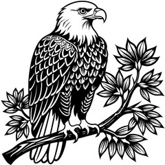 bald-eagle-sitting-on-a-tree-branch