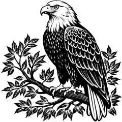 bald-eagle-sitting-on-a-tree-branch