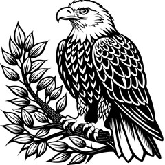 bald-eagle-sitting-on-a-tree-branch