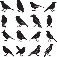 Collection of Black Bird Silhouettes: Vector Design Elements