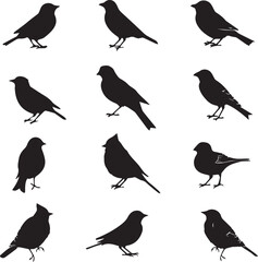 Collection of Black Bird Silhouettes: Vector Design Elements