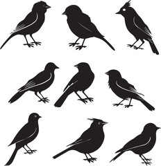 Collection of Black Bird Silhouettes: Vector Design Elements