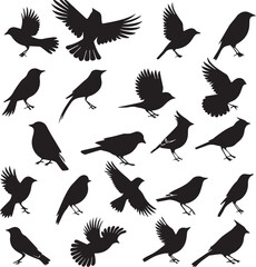 Collection of Black Bird Silhouettes: Vector Design Elements