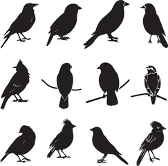 Collection of Black Bird Silhouettes: Vector Design Elements