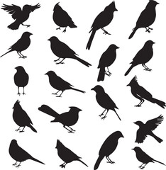 Collection of Black Bird Silhouettes: Vector Design Elements