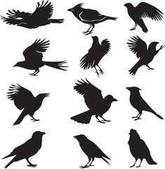 Collection of Black Bird Silhouettes: Vector Design Elements