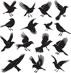 Obraz premium Collection of Black Bird Silhouettes: Vector Design Elements