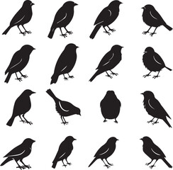 Fototapeta premium Collection of Black Bird Silhouettes: Vector Design Elements