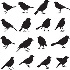 Collection of Black Bird Silhouettes: Vector Design Elements