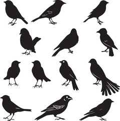 Obraz premium Collection of Black Bird Silhouettes: Vector Design Elements