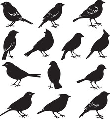 Collection of Black Bird Silhouettes: Vector Design Elements