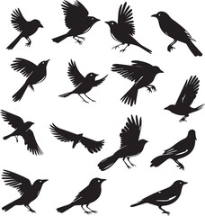 Collection of Black Bird Silhouettes: Vector Design Elements
