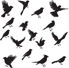 Obraz premium Collection of Black Bird Silhouettes: Vector Design Elements